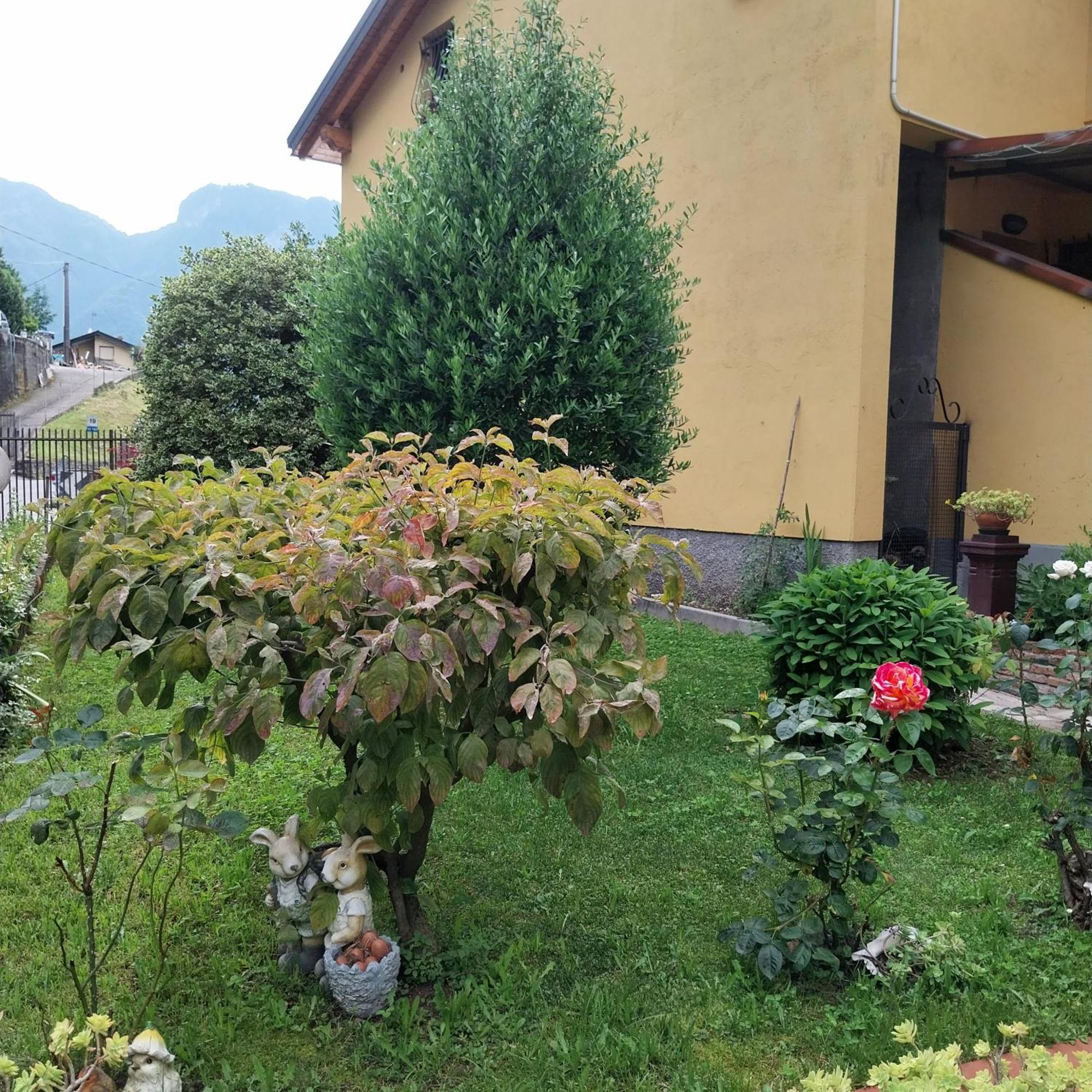Casa Peppo Appartement Lezzeno Buitenkant foto